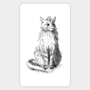 The maine coon cat queen Sticker